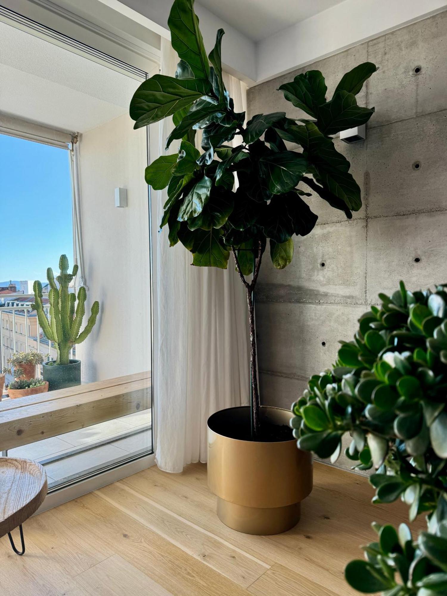 D'Art Penthouse Apartment Сплит Екстериор снимка